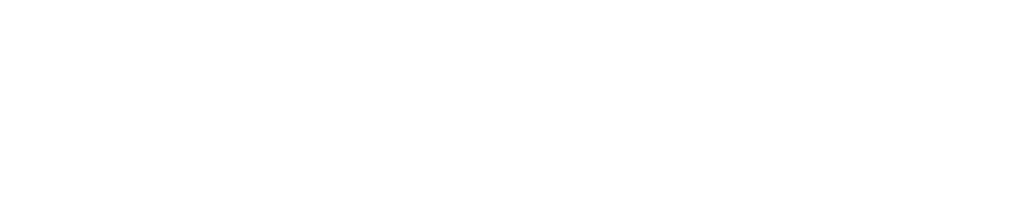 ddri-logo-white