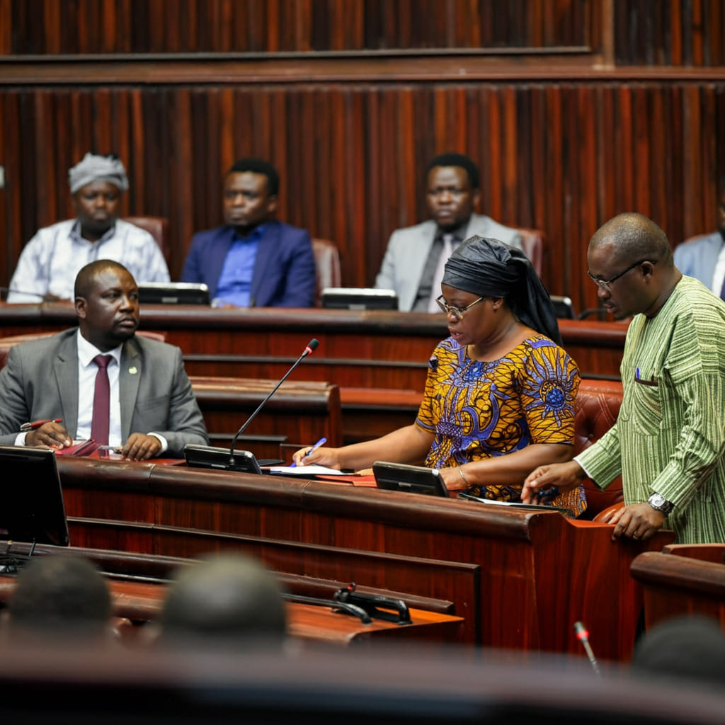Mediation in Parliament